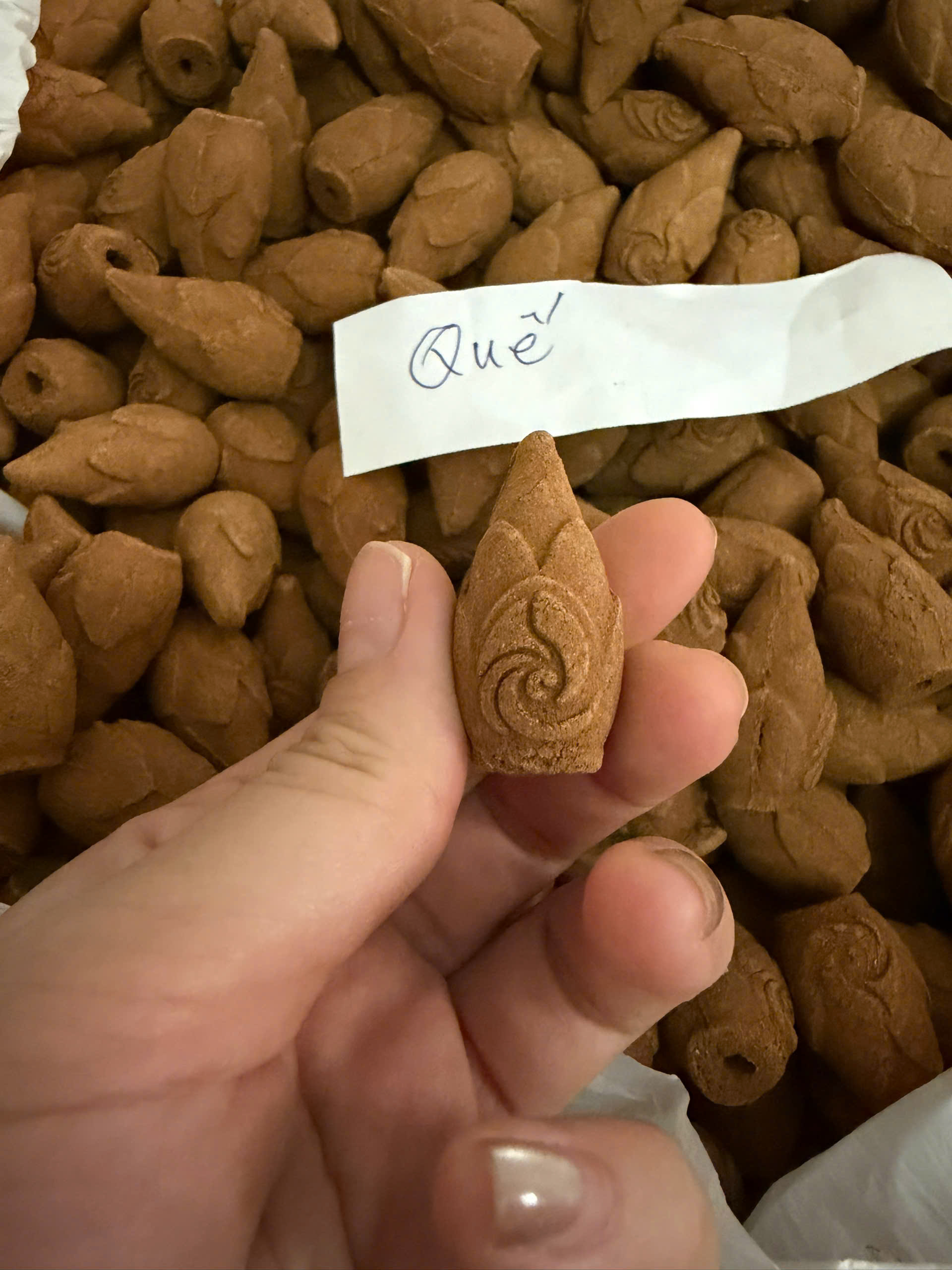 Nụ quế